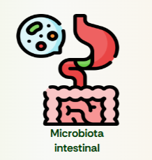microbiota